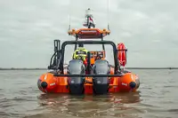Portacontainer in vendita