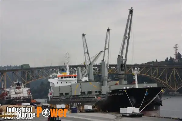 Trasportatore di merci sfuse in vendita