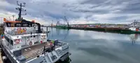 Catamarano in vendita