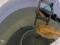Nave per la lavorazione del pesce in vendita