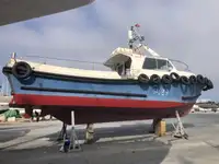 Trasportatore di merci sfuse in vendita