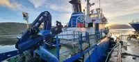Rimorchiatore in vendita