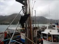 Peschereccio a strascico in vendita