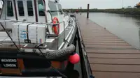 Piroga di pilotaggio in vendita