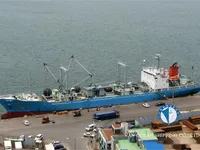Nave refrigerata in vendita