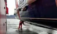 Imbarcazioni da lavoro in vendita