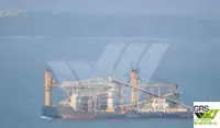 Trasportatore di merci sfuse in vendita