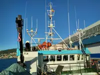 Peschereccio a strascico in vendita