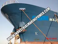 Trasportatore di merci sfuse in vendita