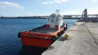 Barche da lavoro in vendita