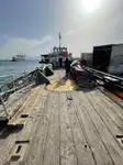 Portacontainer in vendita
