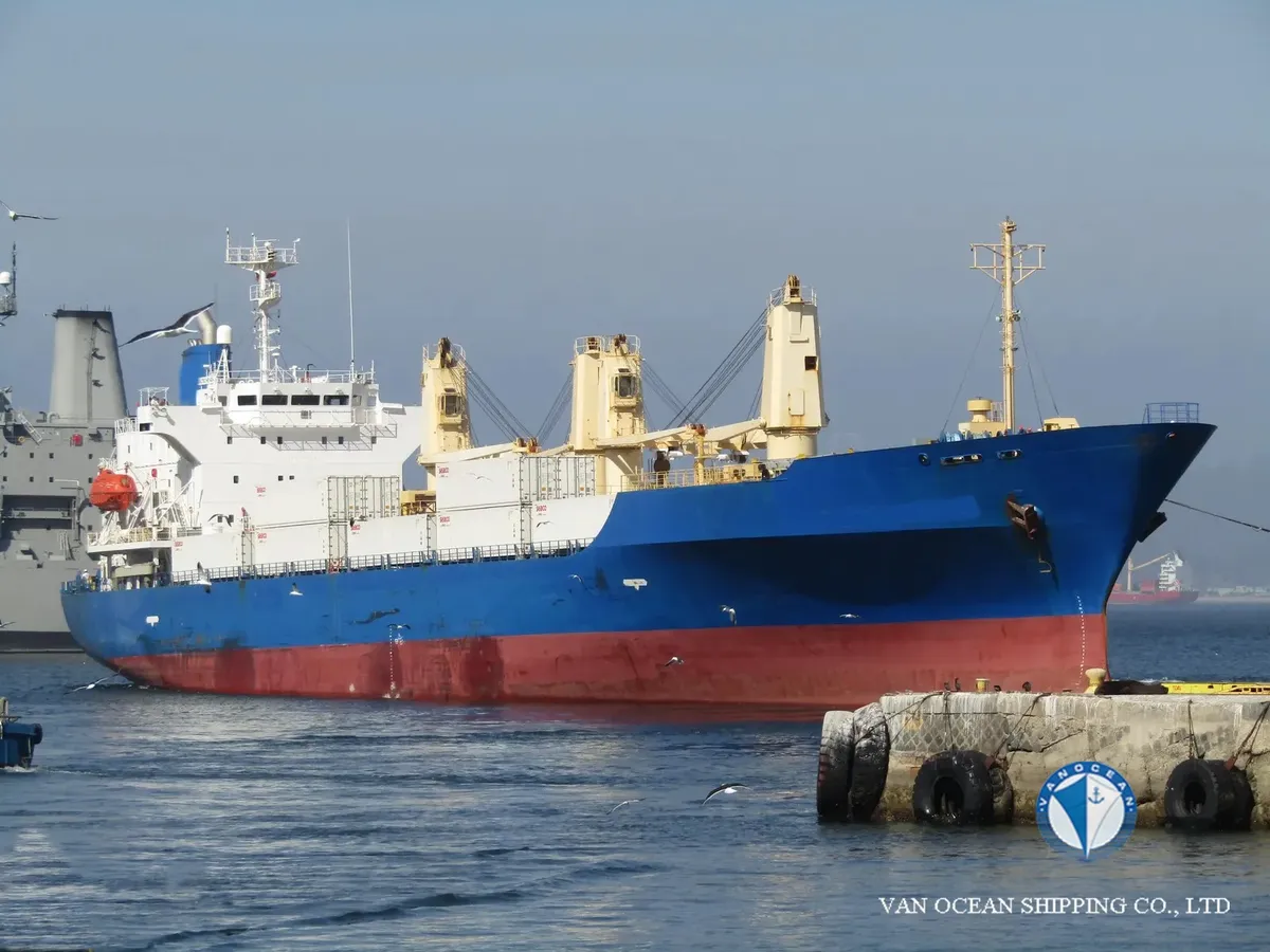 Nave refrigerata in vendita