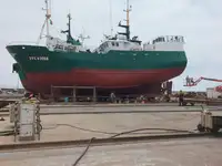 Trawler in vendita