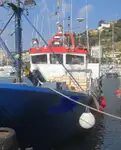 Peschereccio a strascico in vendita