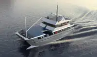 Catamarano in vendita