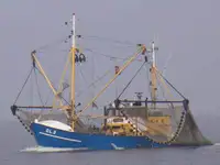 Trawler in vendita