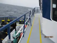 Nave refrigerata in vendita