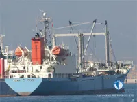 Nave refrigerata in vendita
