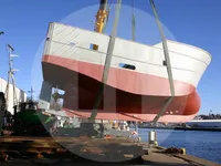 Trasportatore di pesce vivo in vendita