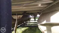 Portacontainer in vendita