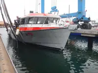 Barche da lavoro in vendita