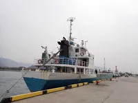 General Cargo/Multi-purpose in vendita