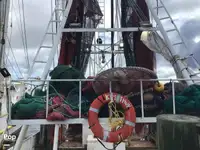 Peschereccio a strascico in vendita
