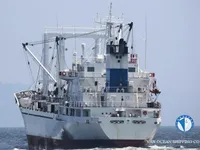 Nave refrigerata in vendita