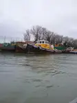 Rimorchiatore in vendita