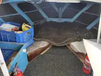 Peschereccio a strascico in vendita
