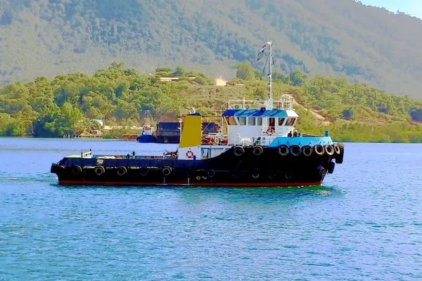 Towboat for sale