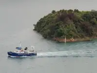 Catamarano in vendita