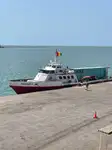 Portacontainer in vendita