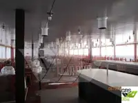 Nave da crociera in vendita