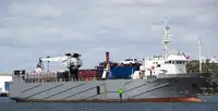 Nave reefer in vendita