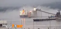 Trasportatore di merci sfuse in vendita