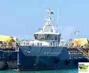 Nave di servizio per parchi eolici in vendita