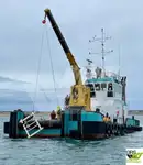 Multiuso in vendita