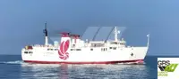 Nave Ro-Ro in vendita