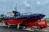 Barche da lavoro in vendita