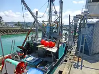 Trawler in vendita