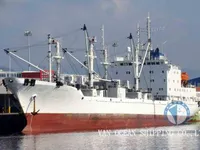 Nave refrigerata in vendita
