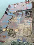 Chiatta in vendita