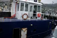 Rimorchiatore in vendita