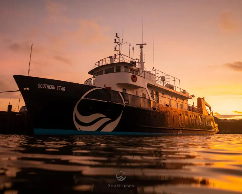 Nave da rilevamento in vendita