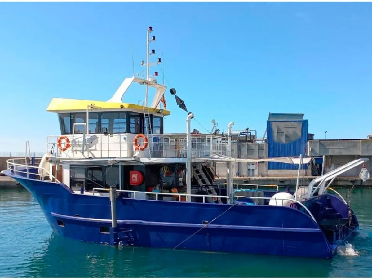 Nave da rilevamento in vendita
