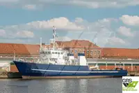 Barche da lavoro in vendita