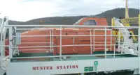 Trasportatore di merci sfuse in vendita
