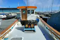 Barche da lavoro in vendita