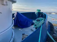 Rimorchiatore in vendita